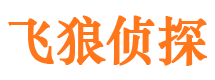 宁武市调查公司